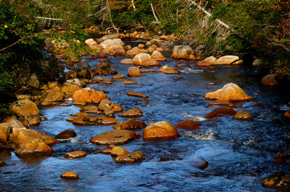 Picture of a river in Gros Morne National Park