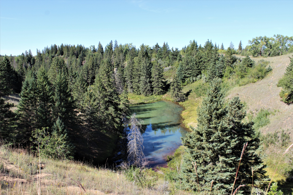 Devil's Punchbowl in Spruce Woods Provincial Park, MB