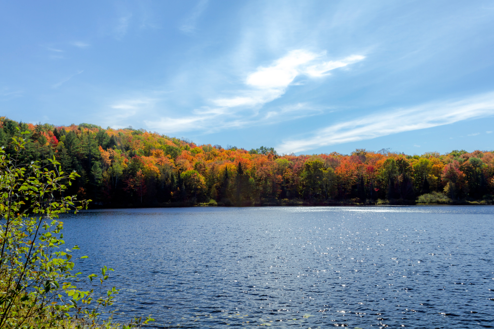 Photo of a lake with trees in fall in Muskoka, ON