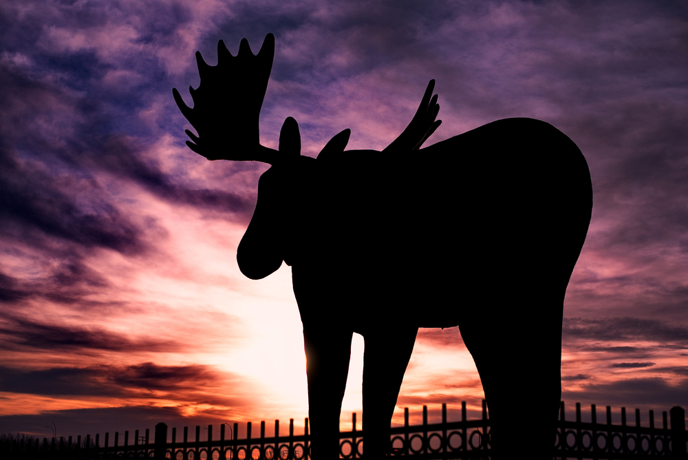 Photo of the Mac the Moose statue in Moose Jaw, SK
