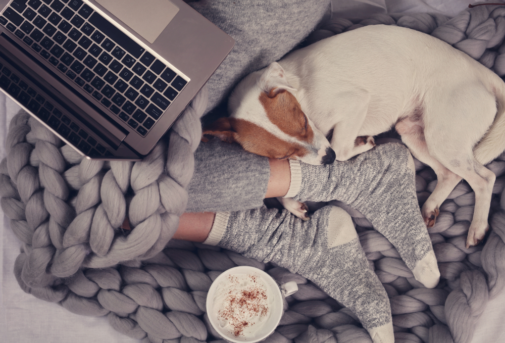 Woman on her laptop with cozy loungewear